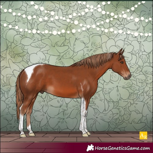 Horse Color:Chestnut Tobiano 