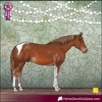 Horse Color:Chestnut Tobiano 