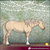 Horse Color:Palomino Dun Tobiano 