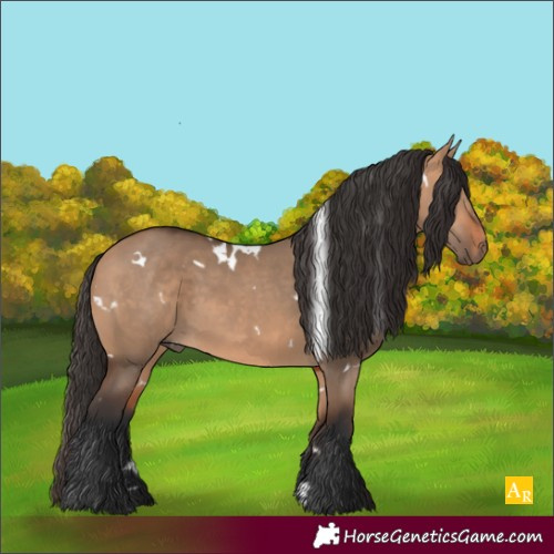 Horse Color:White Spotted Bay Dun