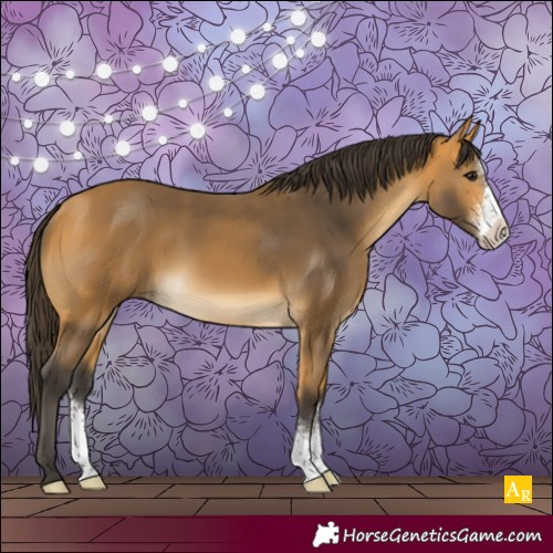 Horse Color:Buckskin Sabino 