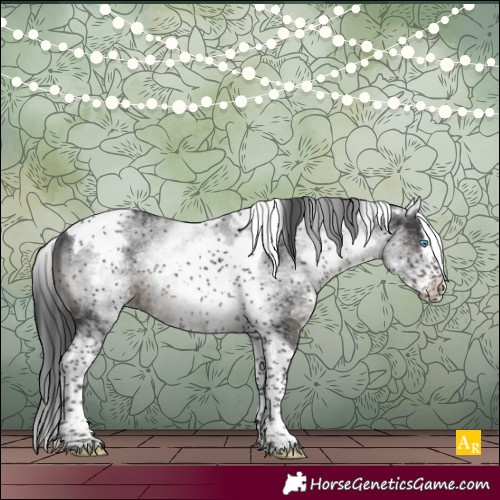 Horse Color:White Spotted Black Splash Tobiano