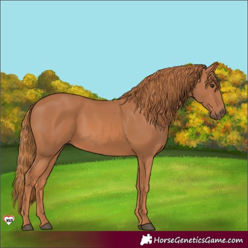 Horse Color:Chestnut 