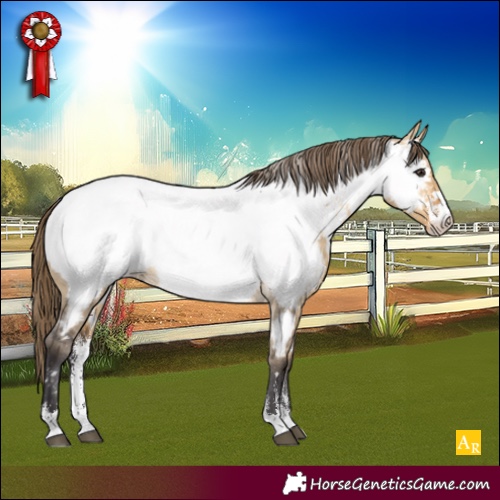 Horse Color:Powder White Buckskin Dun Appaloosa 