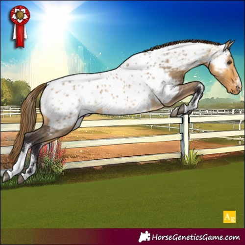 Horse Color:Powder White Buckskin Dun Near Leopard 