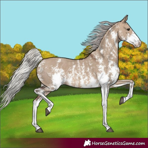Horse Color:Silver Brown Dun Sabino 