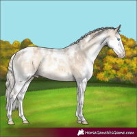 Horse Color:Powder White Chocolate Palomino Onyx Splash Varnish
