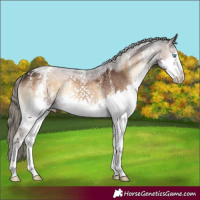 Horse Color:Powder White Liver Red Onyx Splash Rabicano 