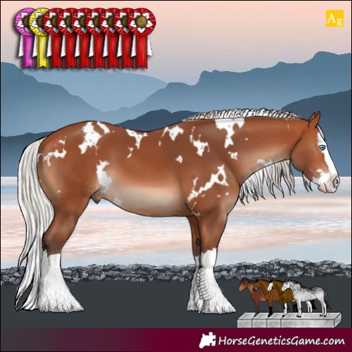 Horse Color:White Spotted Silver Bay Splash 