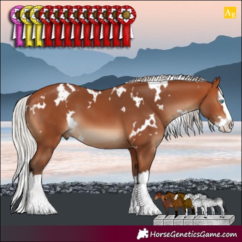 Horse Color:White Spotted Silver Bay Splash 