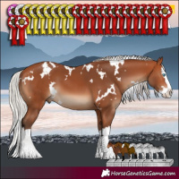 Horse Color:White Spotted Silver Bay Splash