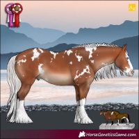 Horse Color:White Spotted Silver Bay Splash 