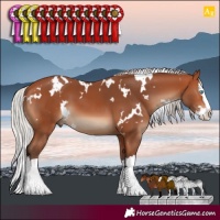 Horse Color:White Spotted Silver Bay Splash 