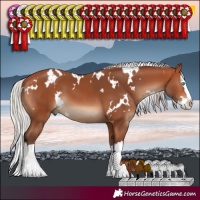 Horse Color:White Spotted Silver Bay Splash 