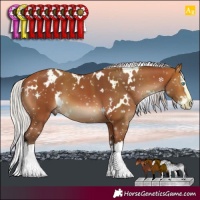 Horse Color:White Spotted Silver Bay Splash