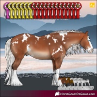 Horse Color:White Spotted Silver Bay Splash