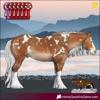 Horse Color:White Spotted Silver Bay Splash 