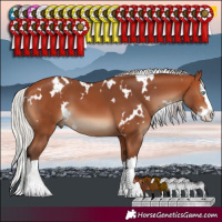 Horse Color:White Spotted Silver Bay Splash 
