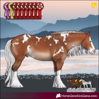 Horse Color:White Spotted Silver Bay Splash
