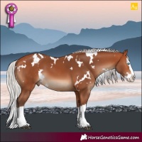 Horse Color:White Spotted Silver Bay Splash 