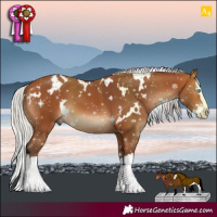 Horse Color:White Spotted Silver Bay Splash 