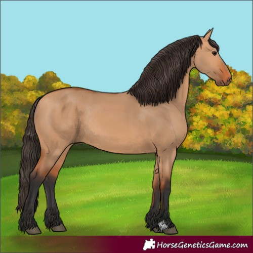 Horse Color:Bay Dun Rabicano 