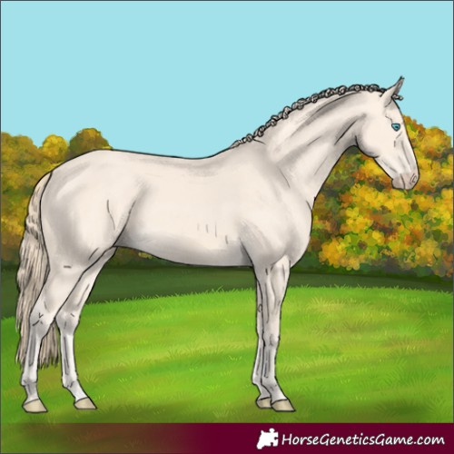 Horse Color:Perlino 
