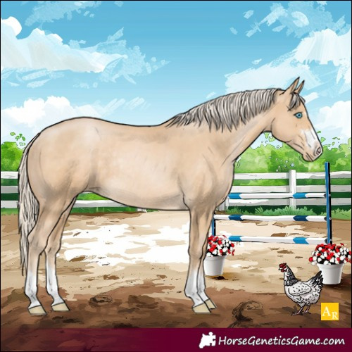 Horse Color:Palomino Pearl Rabicano 