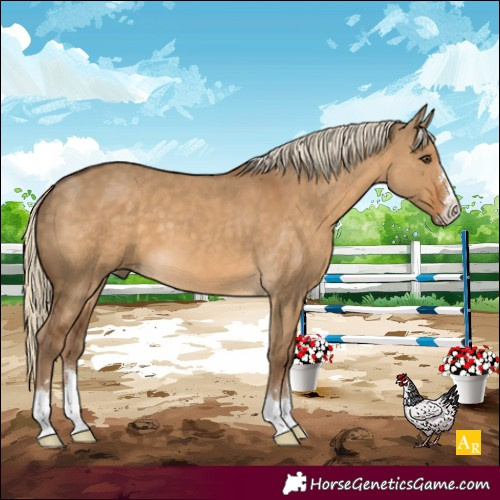 Horse Color:Chocolate Palomino Dun