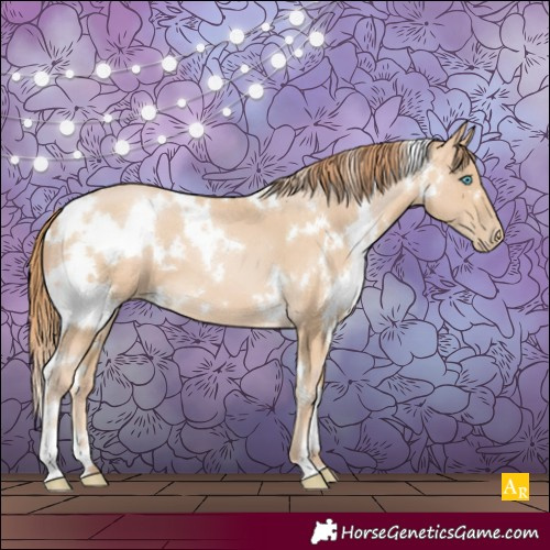 Horse Color:White Spotted Buckskin Pearl 