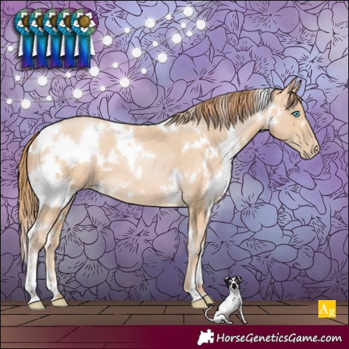 Horse Color:White Spotted Buckskin Pearl 