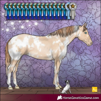 Horse Color:White Spotted Buckskin Pearl 