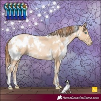 Horse Color:White Spotted Buckskin Pearl 