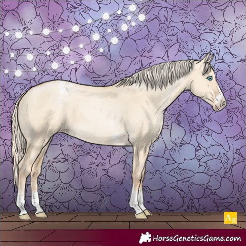 Horse Color:Palomino Pearl Dun Appaloosa 