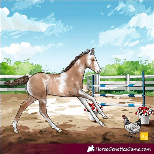 Horse Color:Liver Chestnut Pearl Sabino Rabicano 