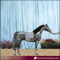 Horse Color:Black and Gray Black