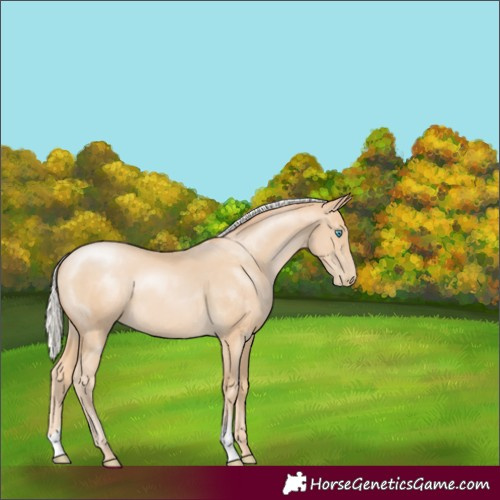 Horse Color:Silver Buckskin Pearl
