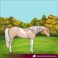 Horse Color:Silver Blue Roan Pearl Tobiano Frame