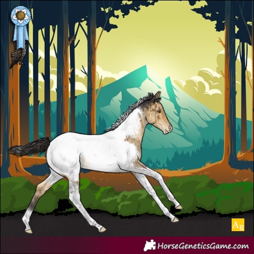 Horse Color:Buckskin Dun Tobiano Near Fewspot Brindle 