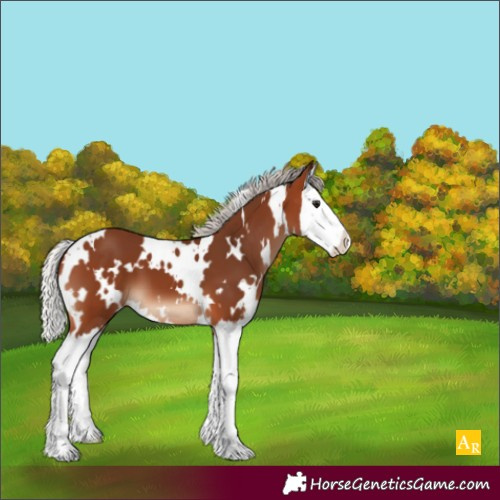 Horse Color:White Spotted Silver Brown Splash 
