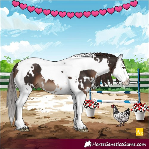 Horse Color:White Spotted Liver Chestnut Splash Tobiano 