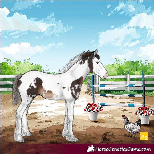 Horse Color:White Spotted Liver Chestnut Splash Tobiano 