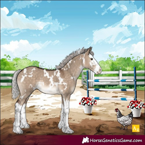Horse Color:White Spotted Silver Brown Dun Splash Rabicano