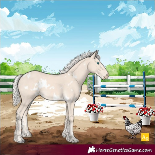 Horse Color:White Spotted Cremello 