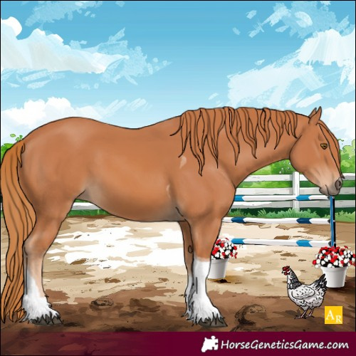 Horse Color:Chestnut Tobiano 