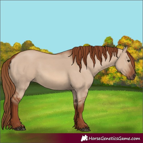 Horse Color:Red Dun 