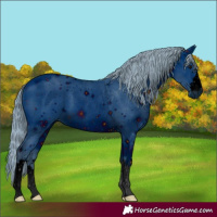 Horse Color:ERROR: UNKNOWN ANOMALY