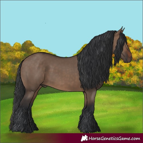 Horse Color:Brown Dun 