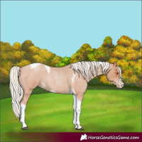 Horse Color:Silver Blue Roan Pearl Tobiano Frame 