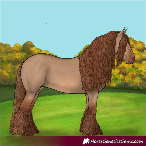 Horse Color:Red Dun Rabicano 